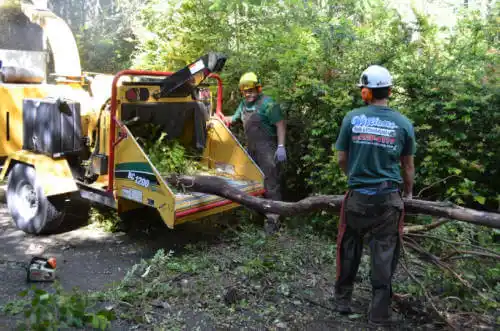 tree services Chuluota